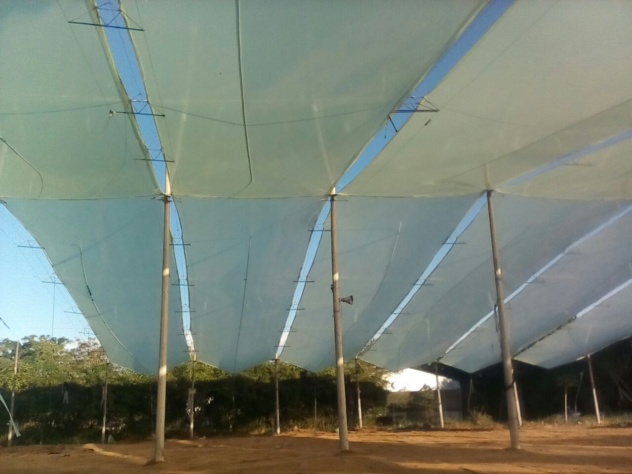 invernadero tipo espacial o colgante